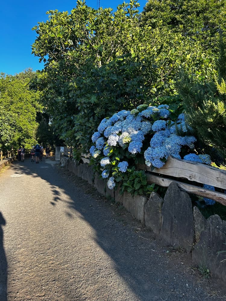 Os raios da Vieira