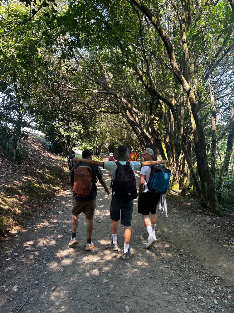 Os raios da Vieira