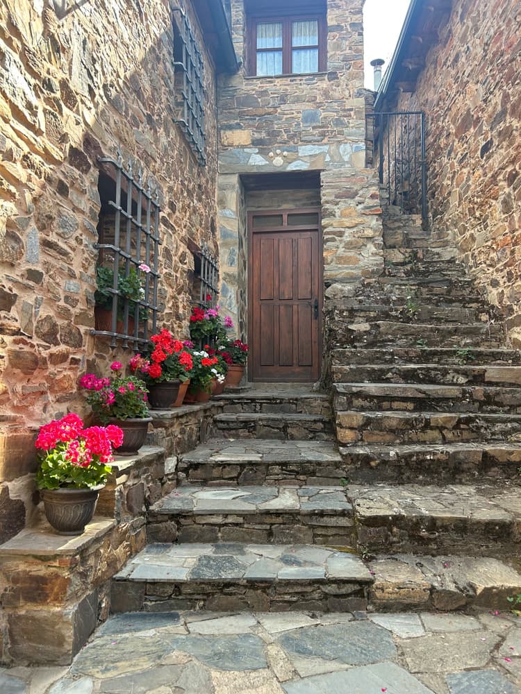 Leve