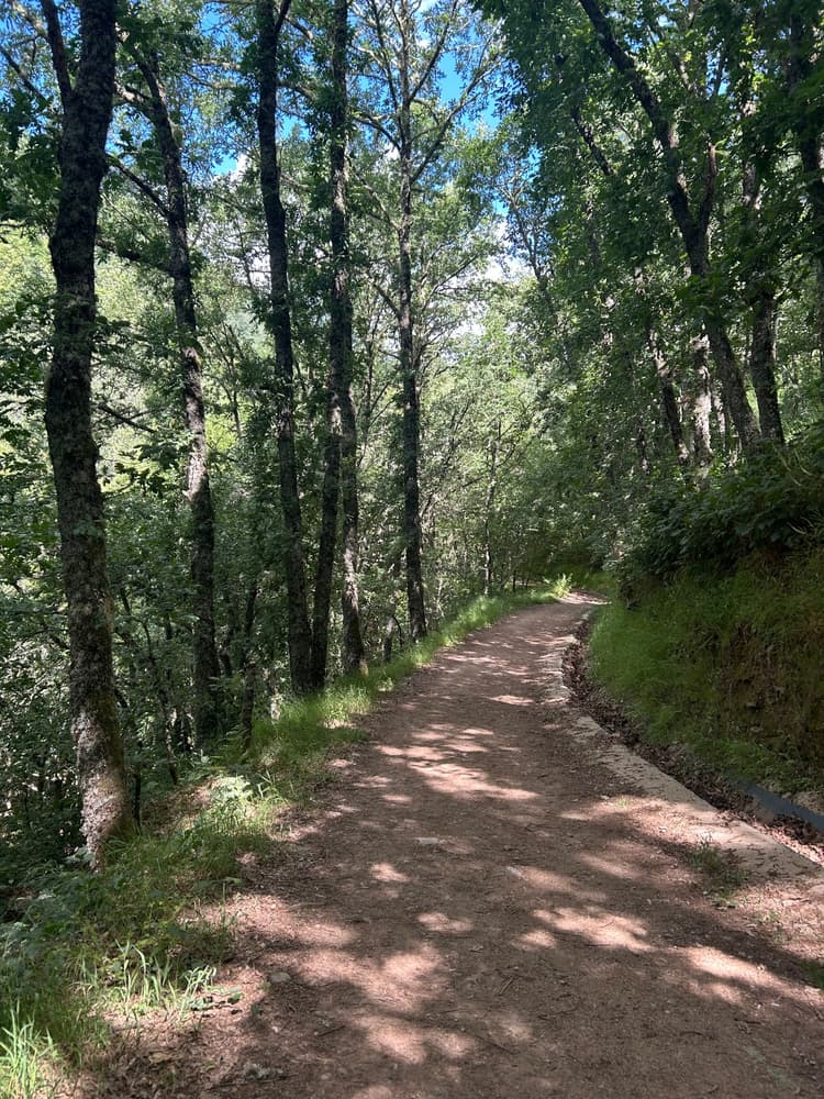 O Cebreiro