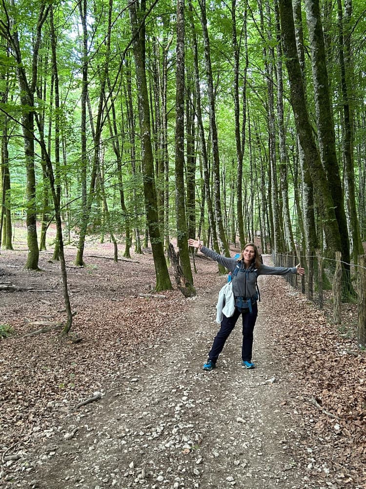 The Camino will provide