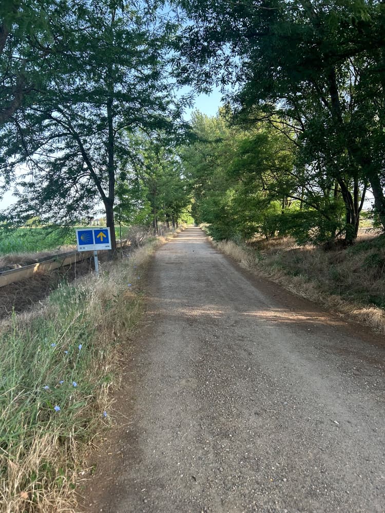 35 graus à sombra